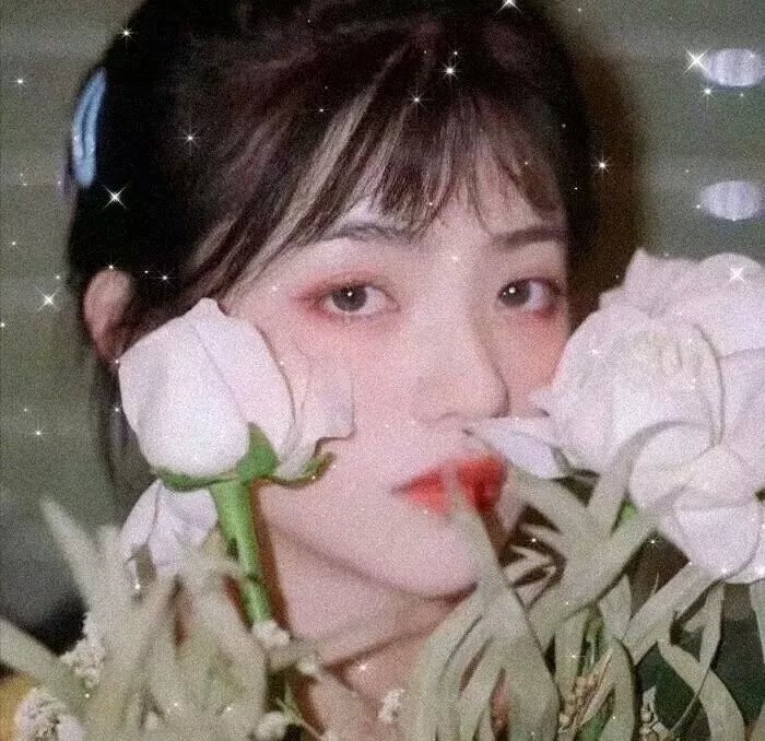 鹰狼传奇